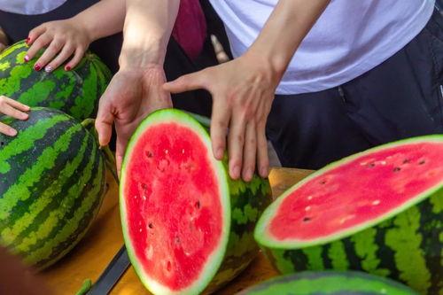 郑州大学免费吃瓜,免费瓜果盛宴，共享清凉时光  第1张